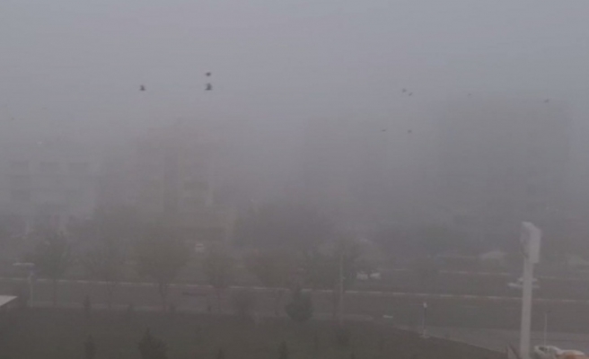 Şanlıurfa’da yoğun sis etkili oldu