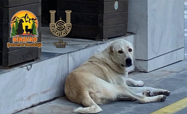 KİHAYKO, valilikteki toplantıya tepkili