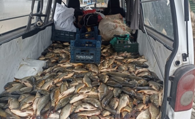 Kaçak avlanan yarım ton balık jandarmanın denetimine takıldı