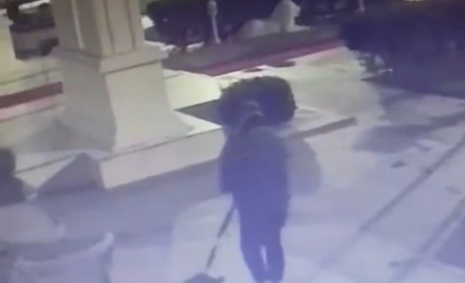 Urfa'da köpek hırsızlığı güvenlik kamerasına yansıdı