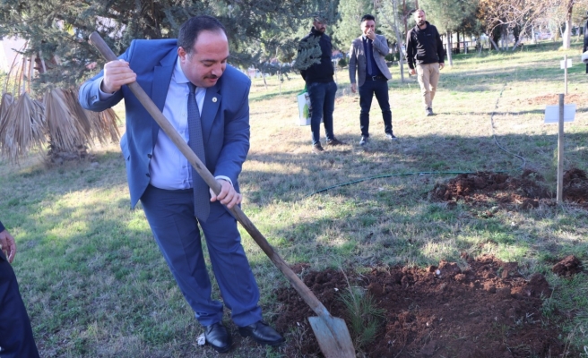 Ekinci okul bahçesine fidan dikti