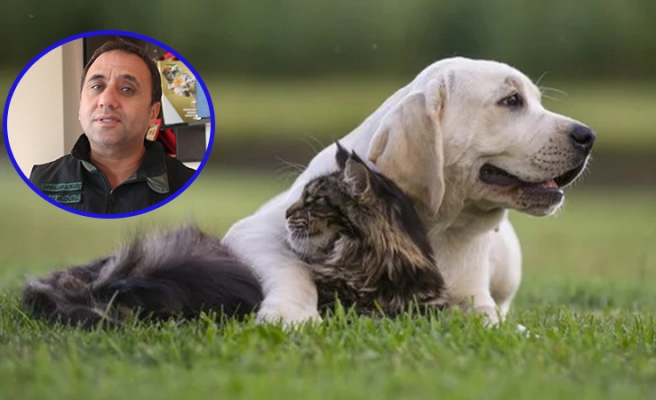 Evcil hayvanı olanlar dikkat: Çip için son tarih 31 Aralık