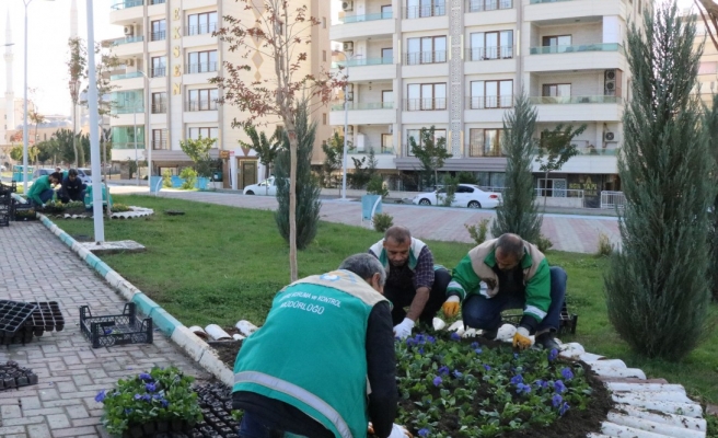 Haliliye çiçeklerle güzelleşiyor