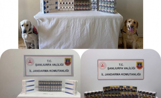 Viranşehir'de yol kontrolünde kaçak sigara ve uyuşturucu ele geçirildi