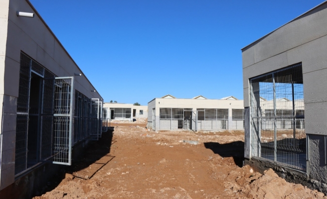 Urfa'da sokak hayvanlarına bir yuva daha kazandırılıyor