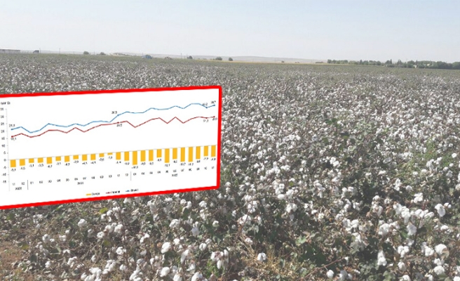 Şanlıurfa’nın ithalat ve ihracat verileri açıklandı
