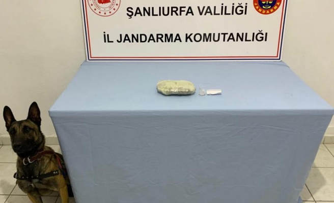Jandarmadan Şanlıurfa’nın iki ilçesine operasyon!