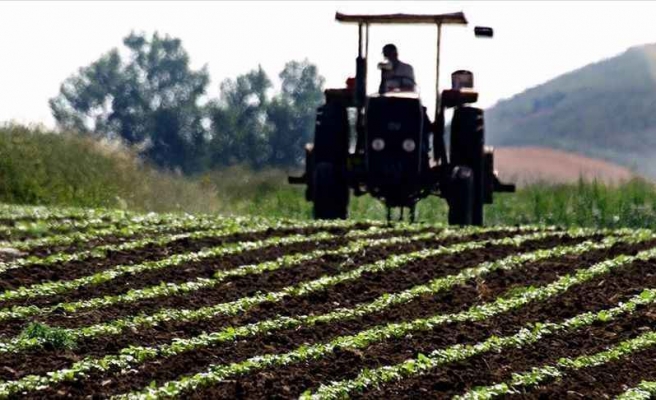 Tarım arazilerindeki projelere yüzde 75'e varan hibe desteği verilecek