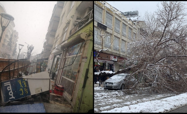 Urfa’da kar ağırlığını kaldırmayan sundurmalar çöktü, ağaçlar devrildi