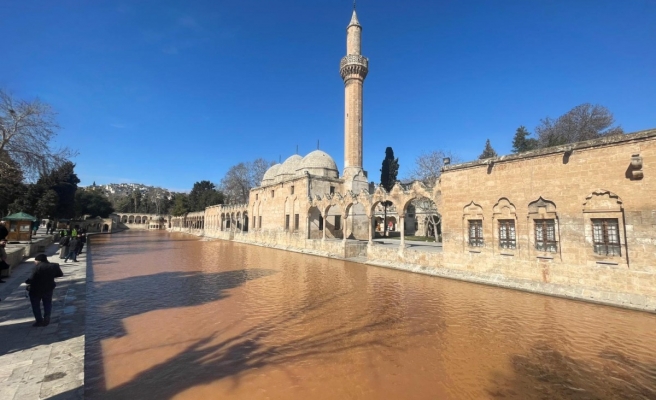 Balıklıgöl'ün suyu depremden sonra çamur rengine döndü