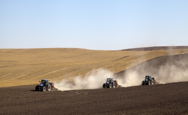 Ceylanpınar TİM’e şoför, operatör ve atölye işçisi alımı için ilan