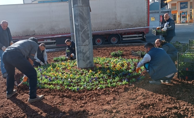 Viranşehir’de belediyeden peyzaj çalışması