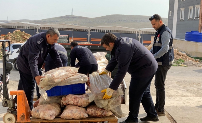 Eyyübiye’de bozuk tavuk eti ele geçirildi