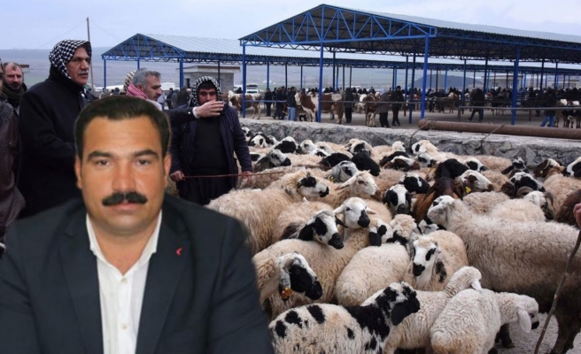 Urfa’da canlı hayvan pazarı ikinci emre kadar kapatıldı