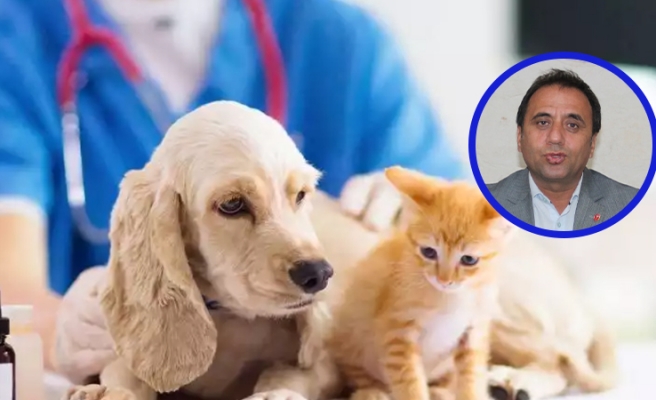 Felaketin görünmeyen yüzü: Depremden etkilenen hayvanlar