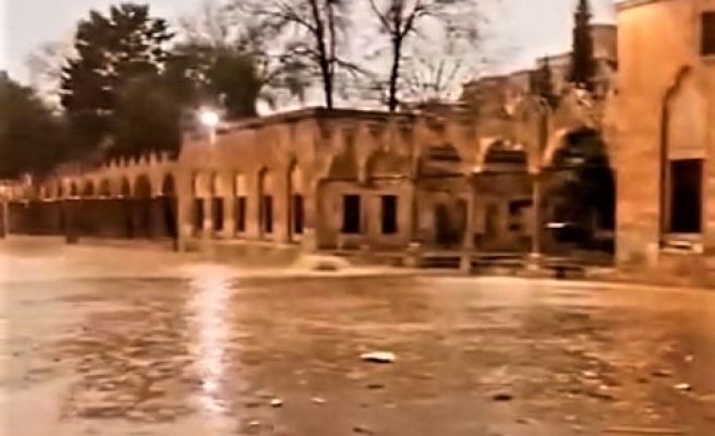 Selin vurduğu Urfa’da tarihi Balıklıgöl’ün suyu çamurla kaplandı