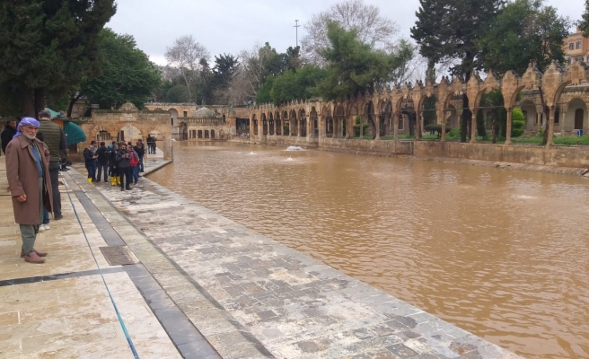 Selin vurduğu Balıklıgöl’de balıklar için su havalandırma çalışması yapılıyor