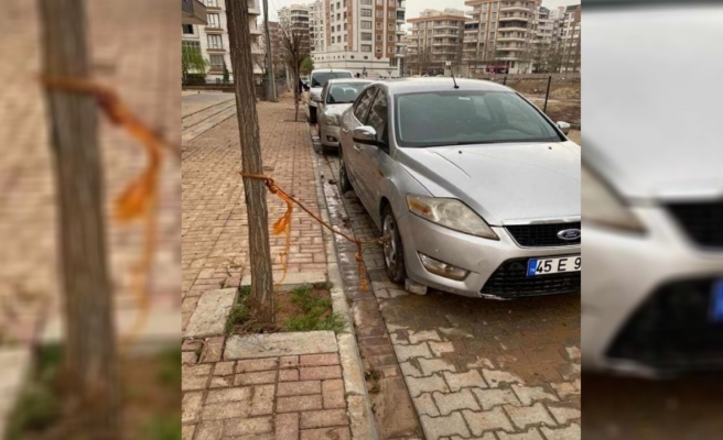 Urfa'da sel önlemi! Arabasını ağaca bağladı