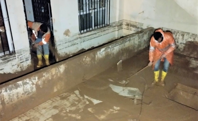 Selden etkilenen haneler boyanacak