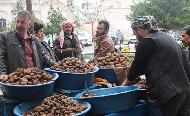 Keme fiyatı dudak uçuklatıyor