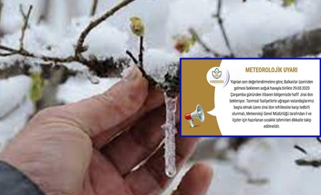 Harran Kaymakamlığı’ndan 'zirai don' uyarısı