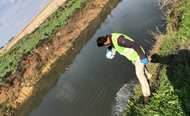 Akçakale'de larva  ilaçlama çalışmaları başlatıldı