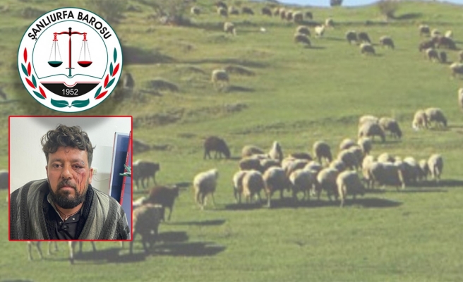 Viranşehir'de GES'e karşı çıkan köylülerin darp edildiği ileri sürüldü