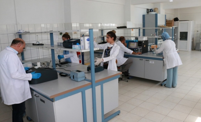 Urfa'da muslukta su içilebilir mi? Açıklama geldi...