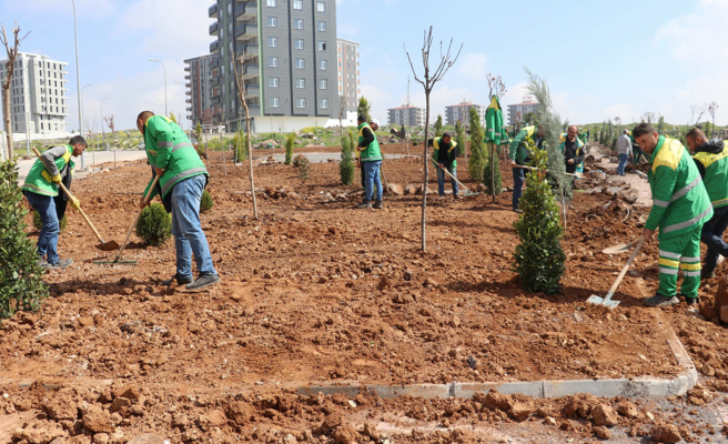 Karaköprü’de yaz ayları için park çalışmaları yapılıyor
