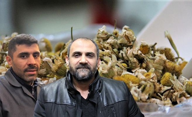 Siyasetteki bitkisel çay polemiğinden aktarlar memnun