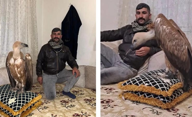 Akbabayı evinde besleyen Urfalı