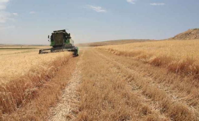 Deprem bölgesindeki çiftçilerin tohum desteklemesi yüzde 100 arttırıldı