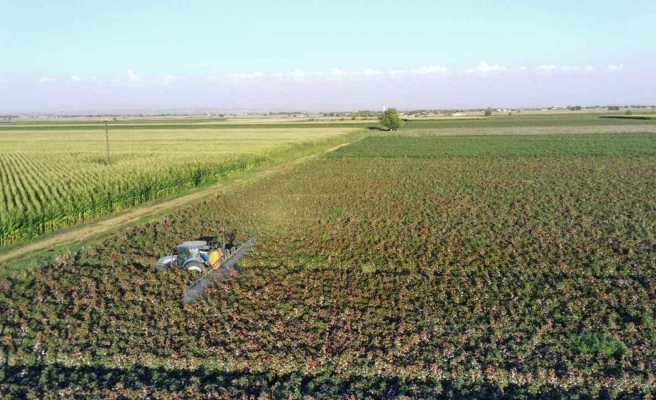 Çiftçiler ve hayvan yetiştiricileri için emeklilikte düzenleme talebi