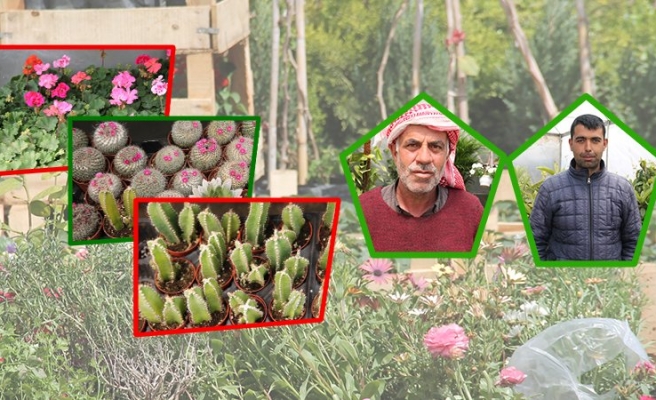 Deprem ve selden sonra şimdi de don korkusu