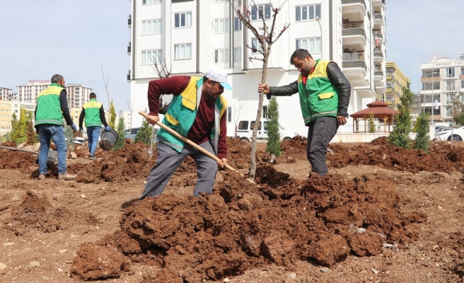 Karaköprü'de yeşil alan sayısı artıyor