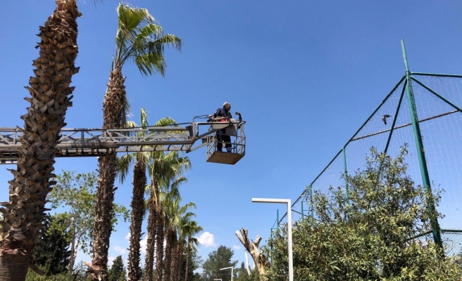 Şanlıurfa’da halı sahanın filesine takılan kuş kurtarıldı