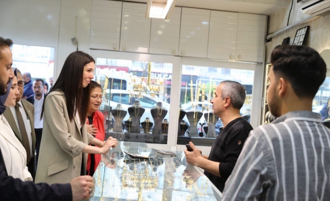 AK Parti Genel Başkan Yardımcısı'ndan Urfa çıkarması