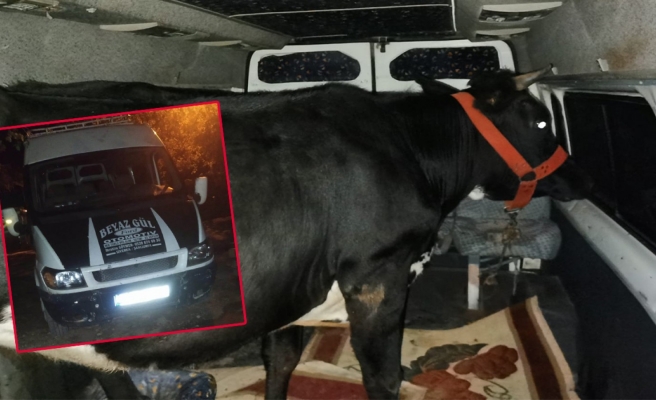 Viranşehir’de hayvan hırsızları ateş açtı! 1 polis yaralı