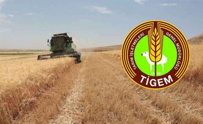 TİGEM’e yem hazırlama tesisi yapılacak