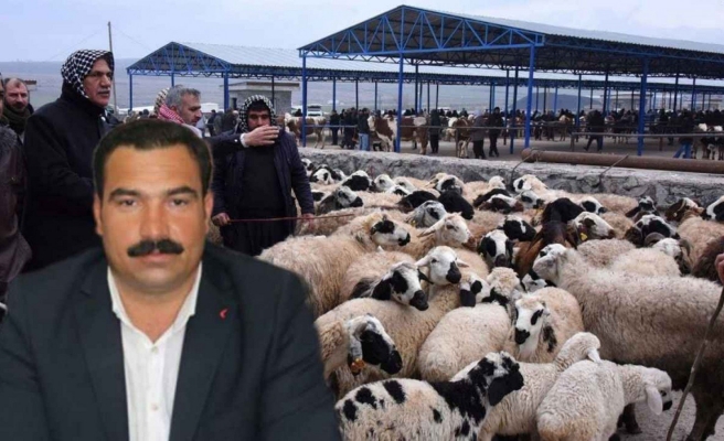 Şanlıurfa’da hayvan pazarı yeniden açılıyor