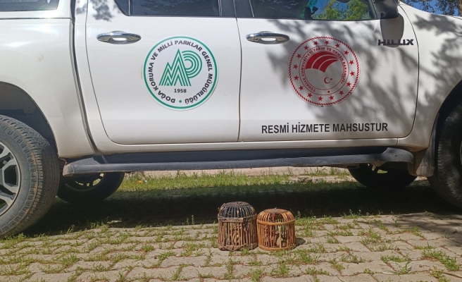 Urfa’da usulsüz avlanan 1 kişiye idari işlem