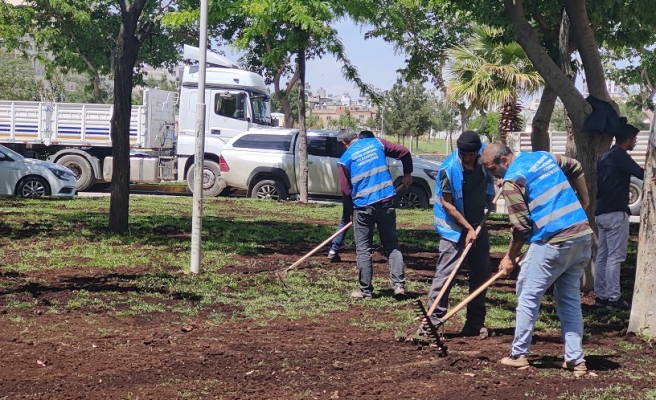 Eyyübiye’ye yeşil alanlarda çalışmalar sürüyor