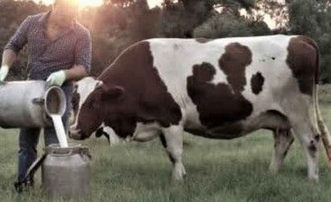 Tarımsal destek ödemleri bugün hesaplara yatıyor