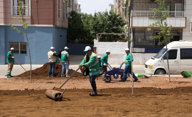 Haliliye’de Ahmet Yesevi Mahallesindeki yeni parkın çimleri ekiliyor