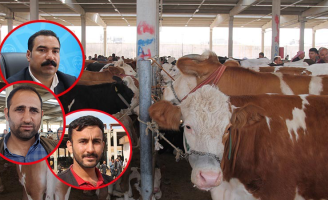 Kurban Bayramı yaklaşırken alıcı da satıcı fiyatlardan dertli