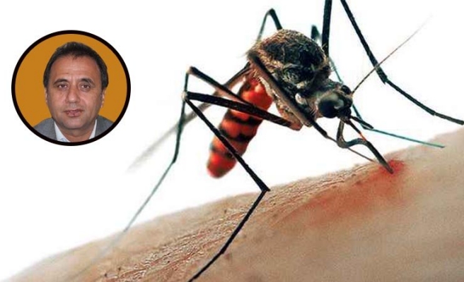 Uzmanından sivrisinek uyarısı: Hastalığa neden olabilir