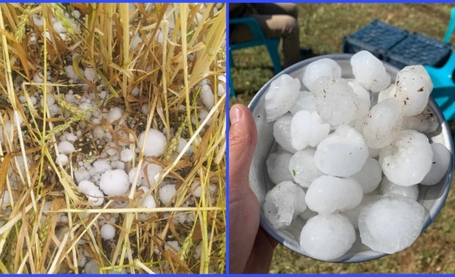 Başkan Çakmak Siverek'teki dolu yağışıyla ilgili açıklamada bulundu