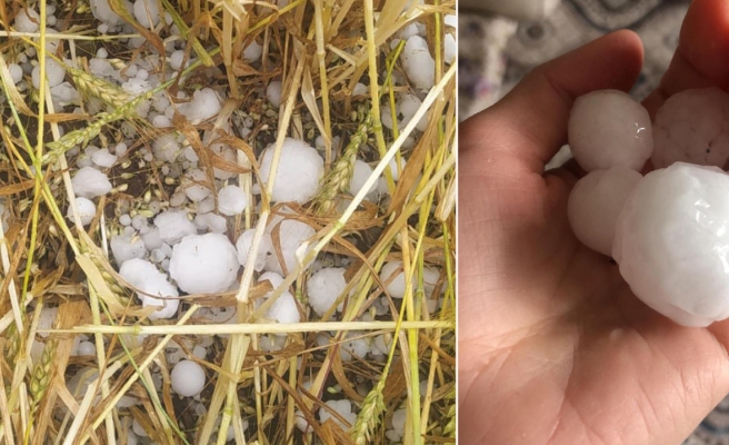 Kaymakamlıktan Siverekli çiftçilere çağrı: Hasar tespiti başladı...