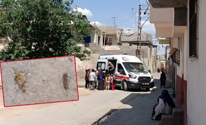 Akrebin soktuğu çocuk hastaneye kaldırıldı