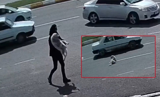 Urfa'da yolun karşısına geçemeyen yaralı hayvanın yardımına polisler yetişti